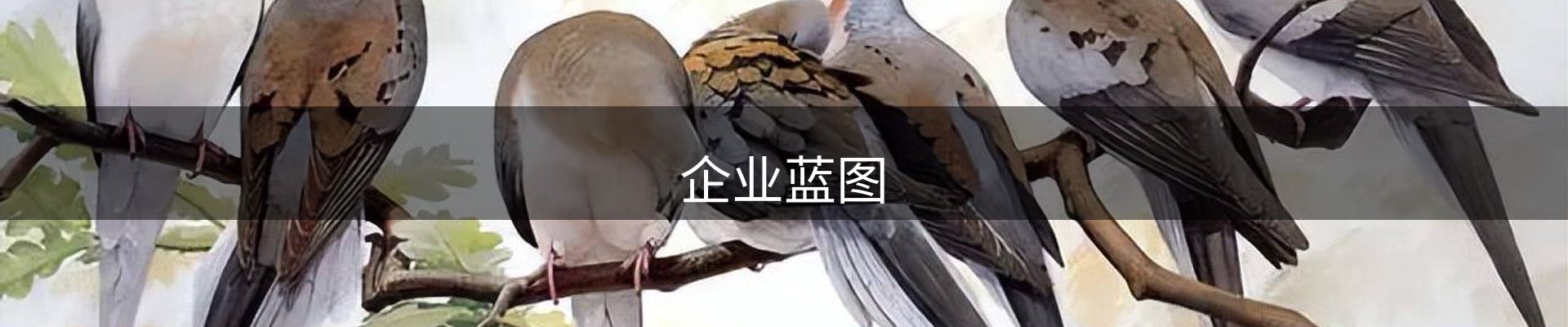 内页banner